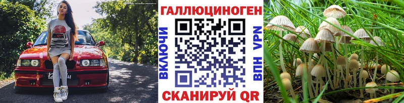 Псилоцибиновые грибы Magic Shrooms  Покровск 